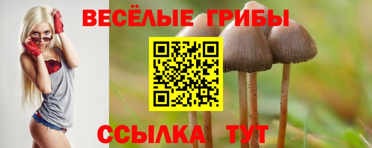 Псилоцибиновые грибы Magic Shrooms Батайск